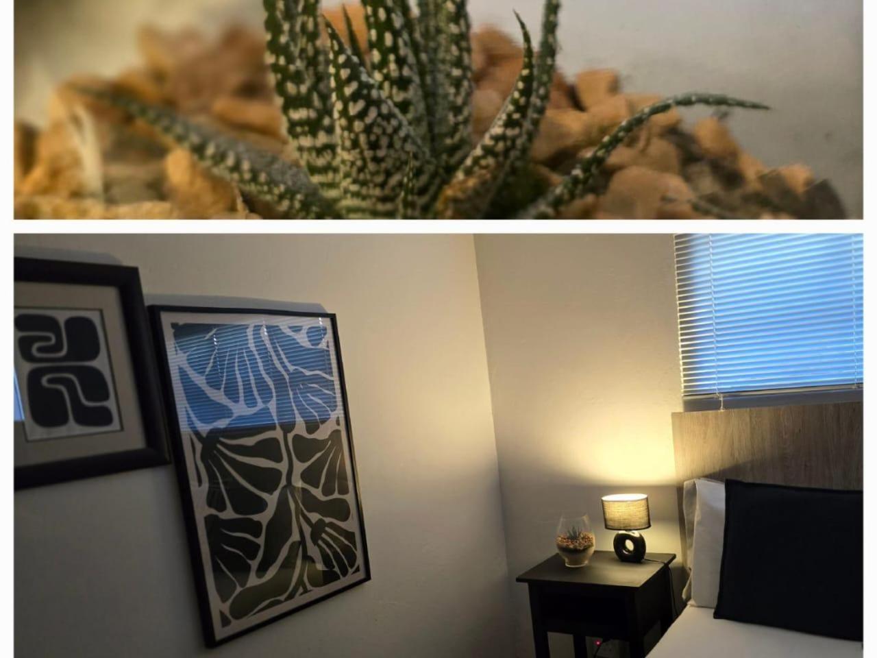 The Lantern Guesthouse Bloemfontein Dış mekan fotoğraf