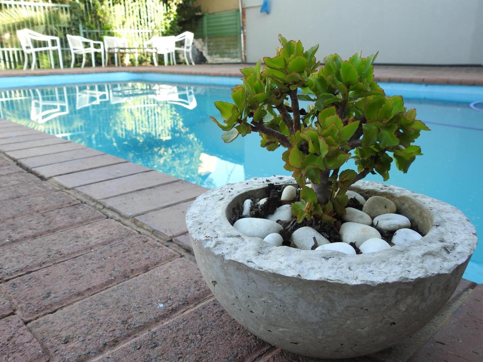 The Lantern Guesthouse Bloemfontein Dış mekan fotoğraf